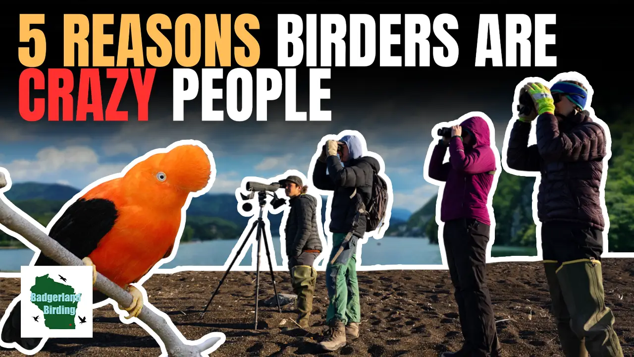 Birders and Bird Watchers Are Crazy People: Here’s Why